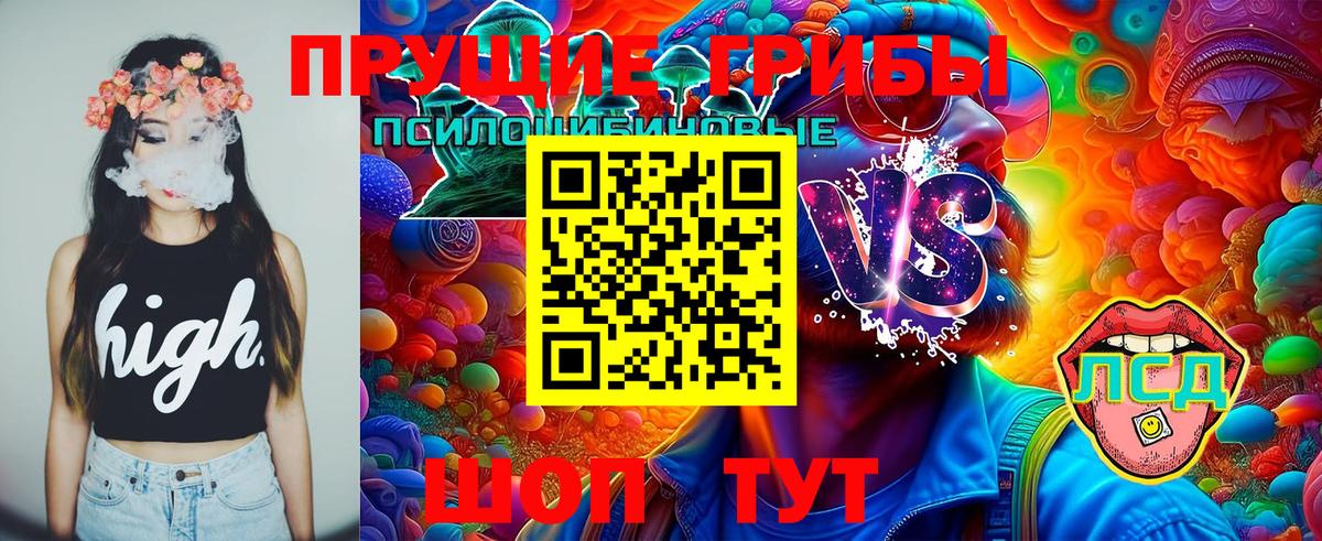 Галлюциногенные грибы мухоморы Белгород