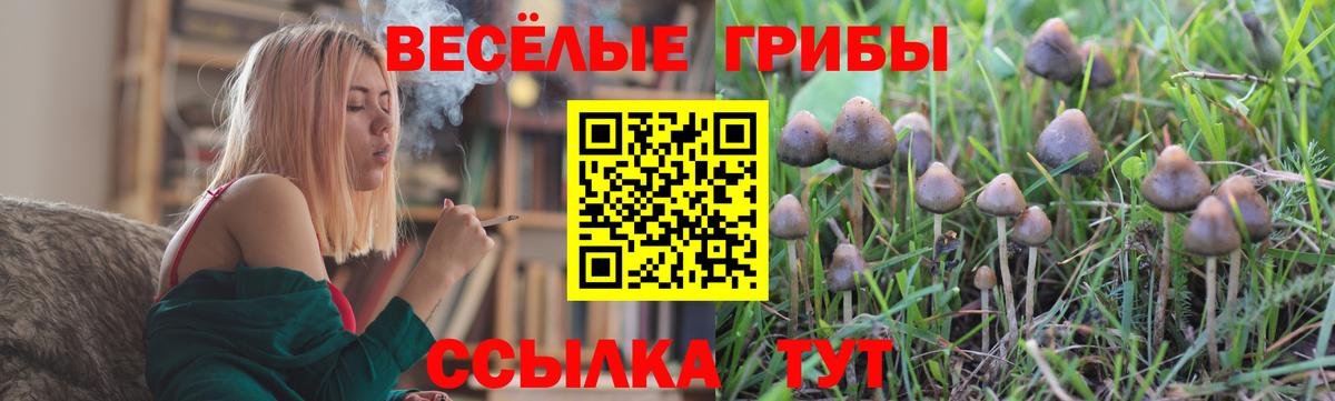 Галлюциногенные грибы прущие грибы  Вход с VPN  Галлюциногенные грибы мухоморы  Белгород 